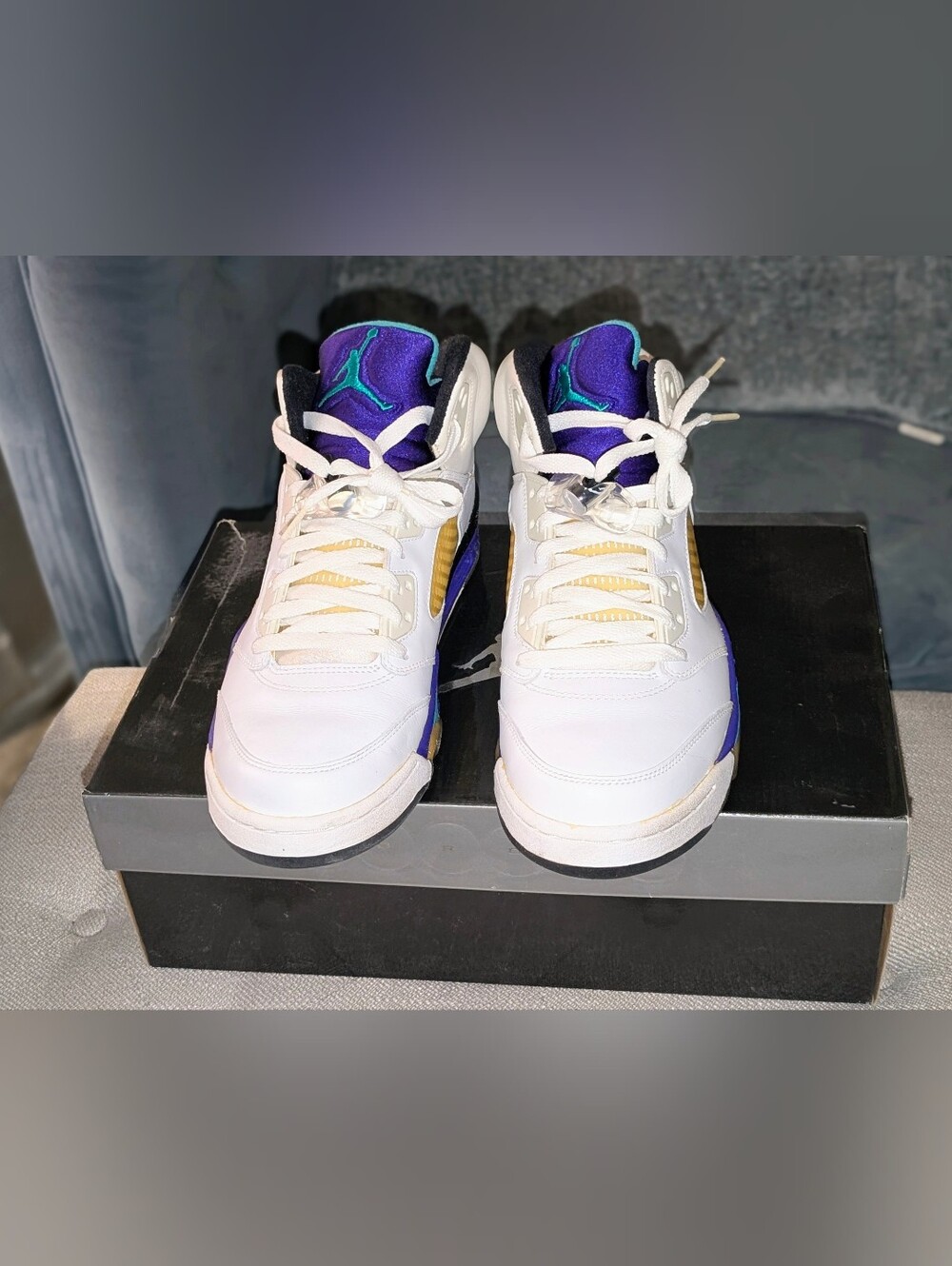 Air Jordan 5 Retro LS Grape 2006 OG Box Size 11 314259-131 VNDS